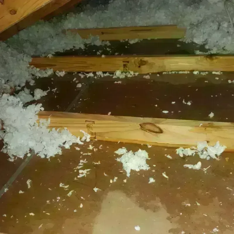 Attic Water Damage in Anna, TX