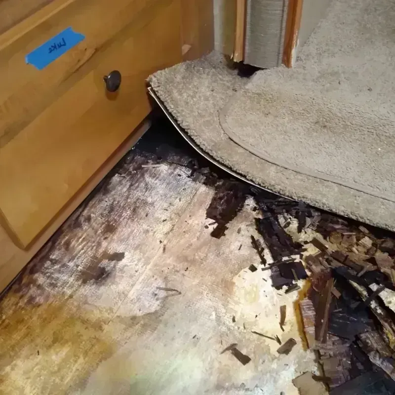 Wood Floor Water Damage in Anna, TX